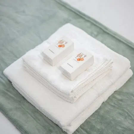 Le Marea Hyper Centre Clim Vieille Apartment *